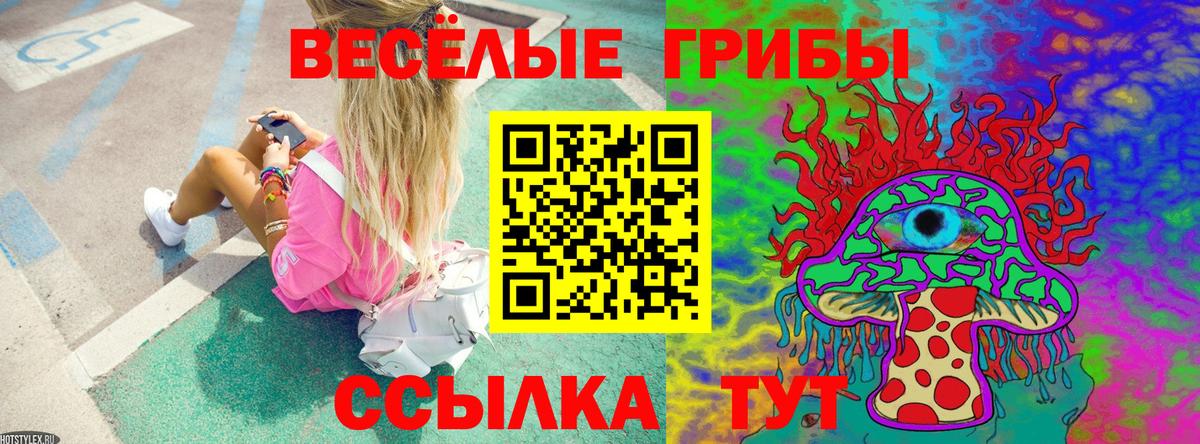 Назрань  Псилоцибиновые грибы мухоморы  Вход с VPN 