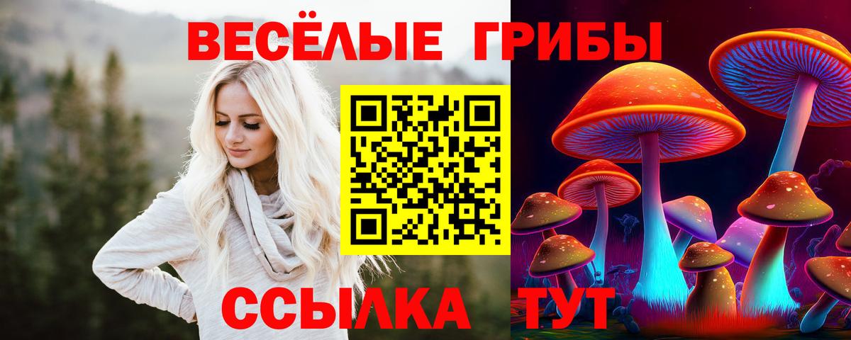 Галлюциногенные грибы Psilocybine cubensis Назрань